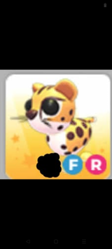 ADOPT ME FLY RİDE CHEETAH