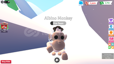 Adopt Me FR Albino Monkey (En Ucuzu)