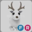 Adopt me fr arctic reindeer