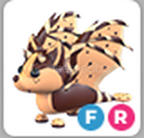 Adopt Me FR Chocolate Chip Bat Dragon