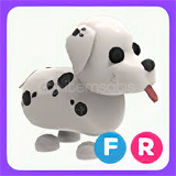 Adopt Me FR Dalmatian