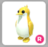 Adopt Me R Golden King Penguen