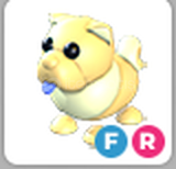 Adopt Me FR Golden Chow Chow