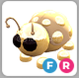 Adopt Me FR Golden Ladybug