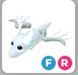 Adopt Me FR Halloween White Ghost Dragon
