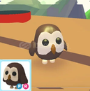 ADOPT ME FR OWL 