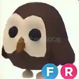 Adopt Me fr owl