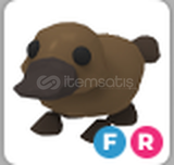 Adopt Me FR Platypus