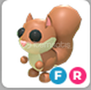 ADOPT ME FR RED SQUİRREL