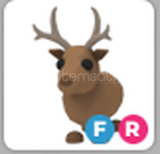 Adopt Me FR Reindeer