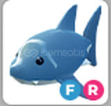 Adopt Me FR Shark