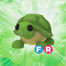Adopt Me FR Turtle