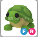 ADOPT ME FR TURTLE ADOPT ME FR TURTLE