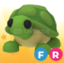 adopt me-fr turtle