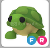 Adopt Me FR Turtle