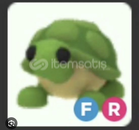 Adopt me FR TURTLE !! En ucuzu