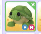 - Adopt Me FR Turtle (FULL GROWN)