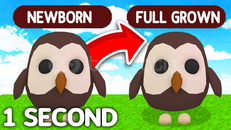 Adopt Me Full Grown Paketi (2 Pet)
