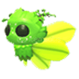 Adopt Me Gaelic Fae