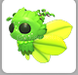 Adopt Me Gaelic Fae