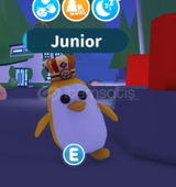 ADOPT ME GOLDEN PENGUEN FR | ROBLOX |