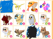 ADOPT ME KAMPANYA PAKET (ÇOK UCUZ)