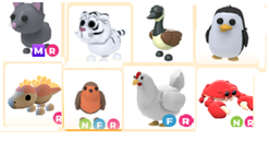 adopt me-karısık paketiiiiiiiii