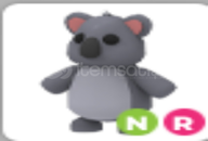 adopt me koala nenon r 