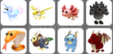 Adopt Me Leg Pet Paketi