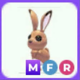ADOPT ME MEGA FLY RİDE HARE