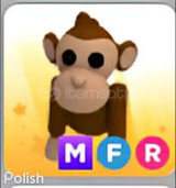 ADOPT ME MEGA FLY RİDE MONKEY