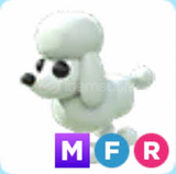 ADOPT ME MEGA FLY RİDE POODLE