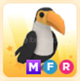 ADOPT ME MEGA FLY RİDE TOUCAN