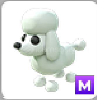 adopt me-mega no pot poodle adopt me-mega no pot poodle
