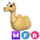 Adopt Me MFR Camel Adopt Me MFR Camel