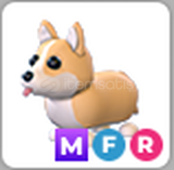 Adopt Me MFR Corgi