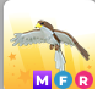 adopt me - mfr hawk adopt me - mfr hawk