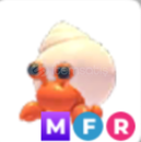 Adopt Me MFR Hermit Crab