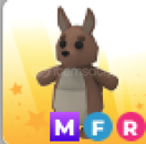 adopt me-mfr kangoro adopt me-mfr kangoro