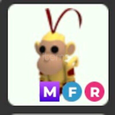 ADOPT ME MFR MONKEY KİNG 