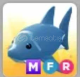 Adopt me (MFR SHARK)