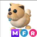 adopt me- mfr Tan Chow-Chow adopt me- mfr Tan Chow-Chow