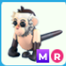 adopt me- mr Capuchin Monkey