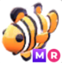 Adopt Me MR Clownfish