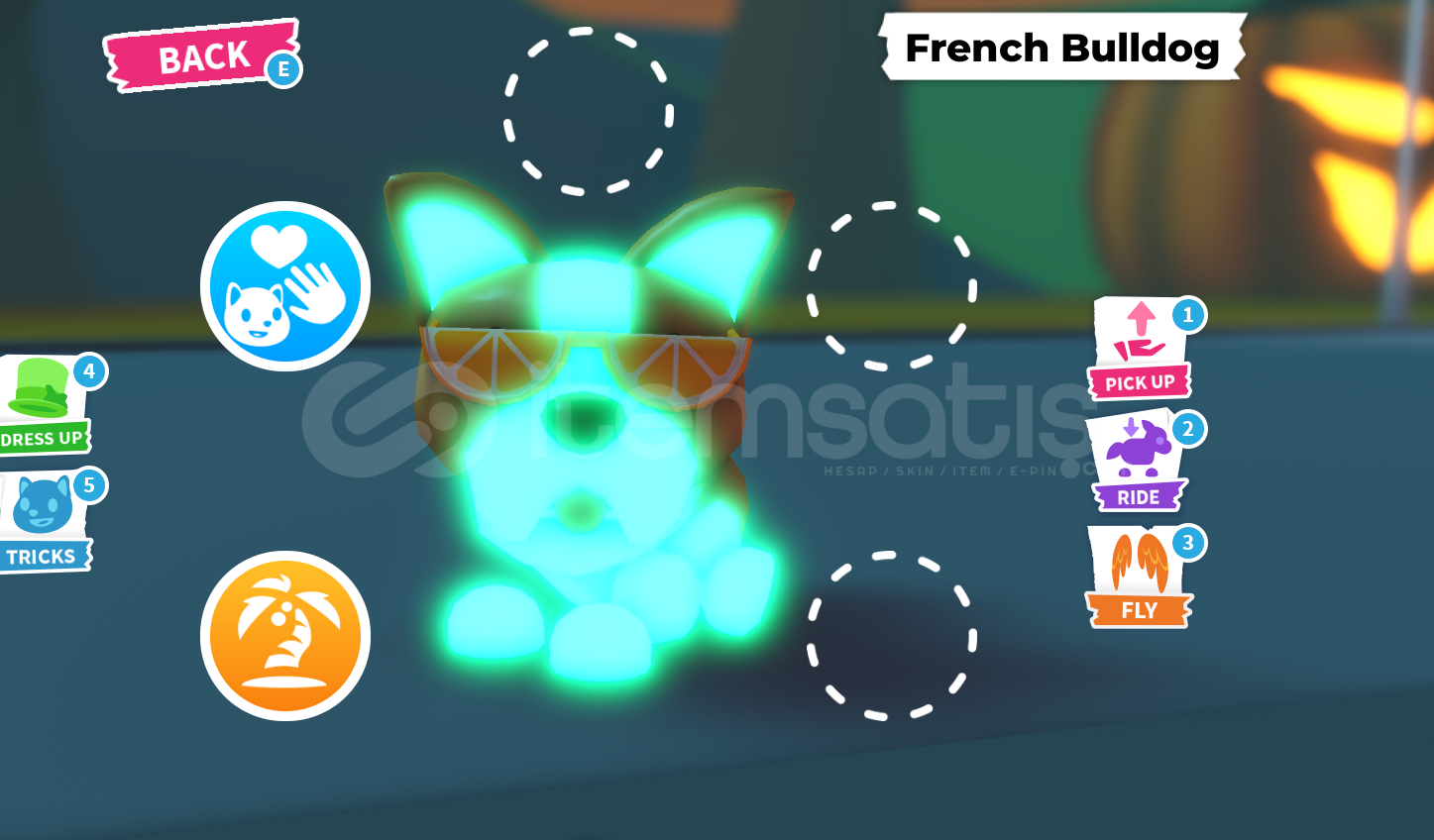 adopt me MR french bulldog adopt me MR french bulldog