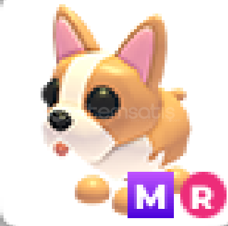 adopt me-mr French Bulldog  adopt me-mr French Bulldog