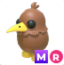Adopt Me MR Kiwi
