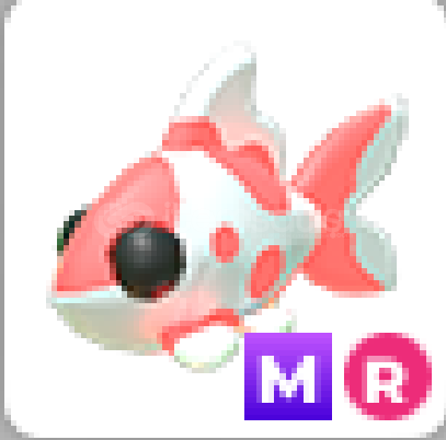 adopt me mr koi adopt me mr koi