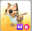 adopt me-mr Leopard Cat