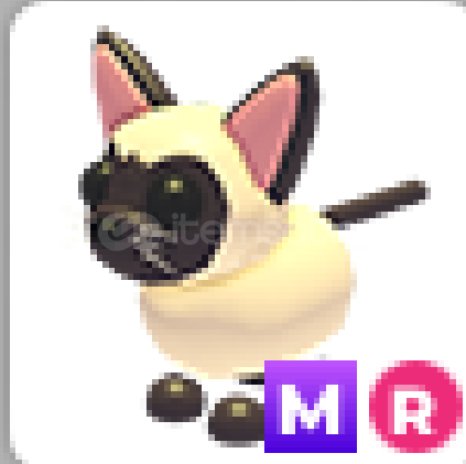 adopt me mr siamese cat  adopt me mr siamese cat